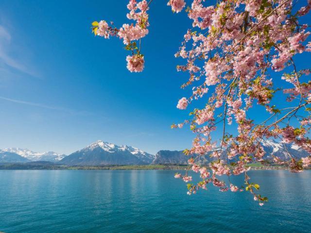 Schöne Ferienwohnung mit Seeblick Thun Exterior foto